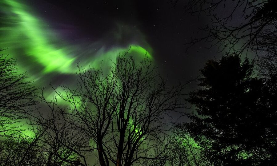 From Reykjavik: Northern Lights Tour with Lifetime Guarantee - Key points at a glance