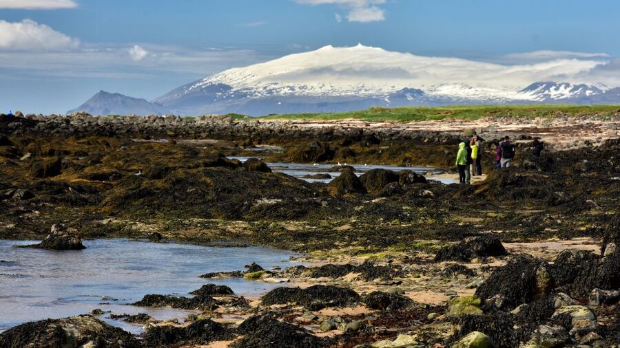 From Reykjavik: Snaefellsnes National Park - Small Group - Arnarstapi, Hellnar, and a proper coastal pause