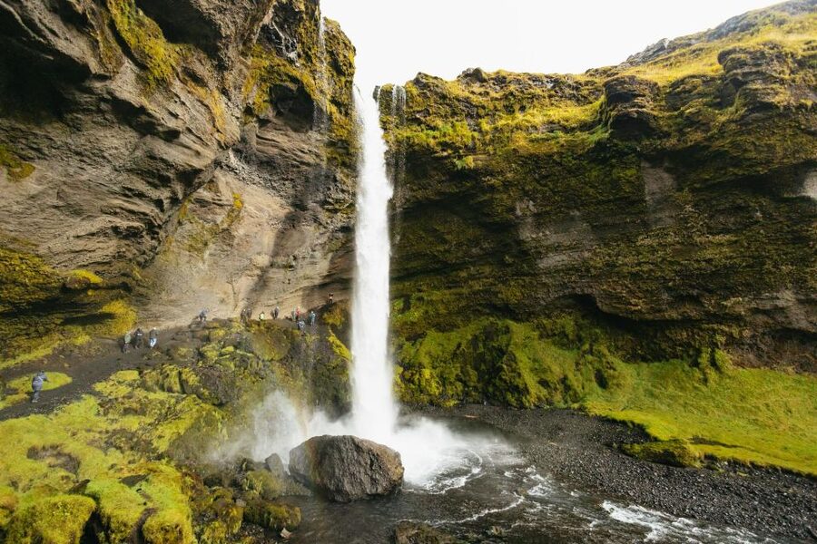 From Reykjavík: Waterfalls, Black Beach & Glacier Day Trip - Guides, comfort, and the human side of the day