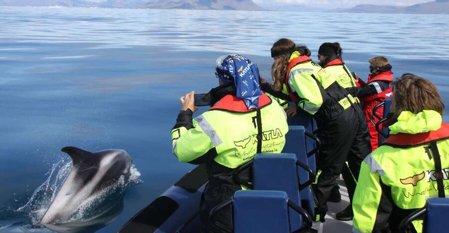 From Reykjavik: Whale Watching Tour by Speedboat - Leaving Reykjavik harbor beside Harpa and Sun Voyager