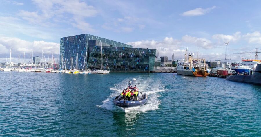 From Reykjavik: Whale Watching Tour by Speedboat - Puffin islands and the wildlife close-up