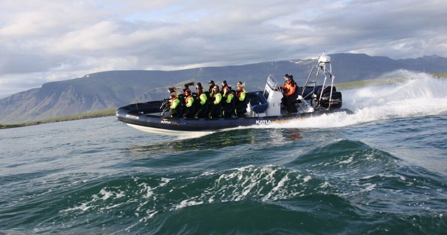 From Reykjavik: Whale Watching Tour by Speedboat - Safety gear, comfort, and the weather factor