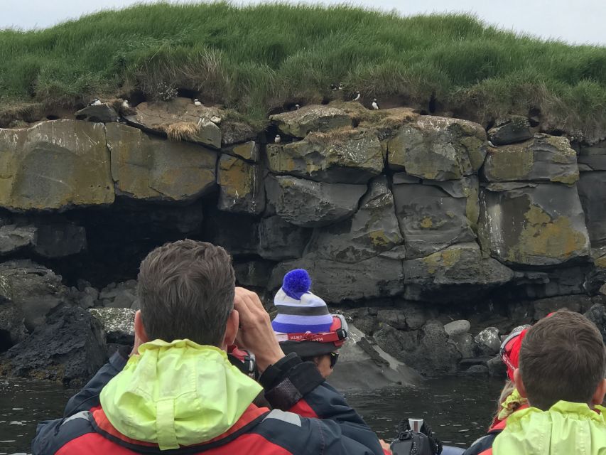 From Reykjavik: Whale Watching Tour by Speedboat - Is $192 a fair price for two hours?