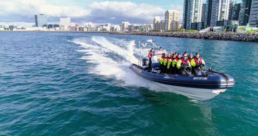 From Reykjavik: Whale Watching Tour by Speedboat - What a 12-seat RIB changes on the water