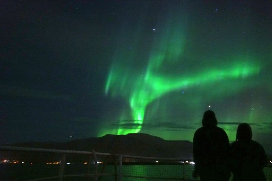 From Reykjavik: Whales and Northern Lights Boat Tour - Who will get the most from the $182 price