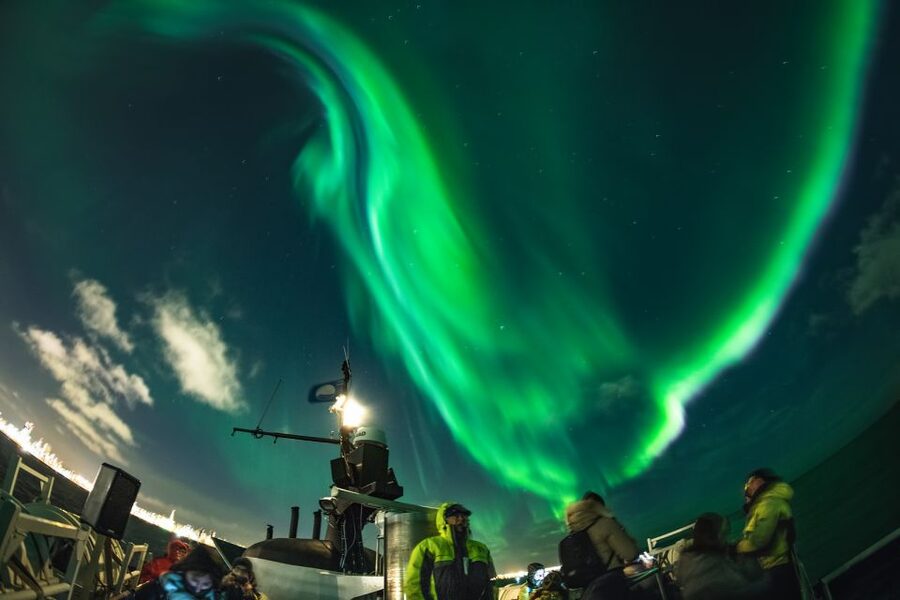 From Reykjavik: Whales and Northern Lights Boat Tour - Practical details for a smoother day