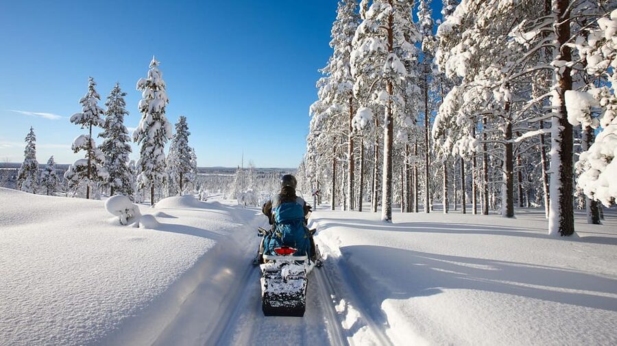From Rovaniemi: 2-Hour Snowmobile Safari - Key points to know before booking