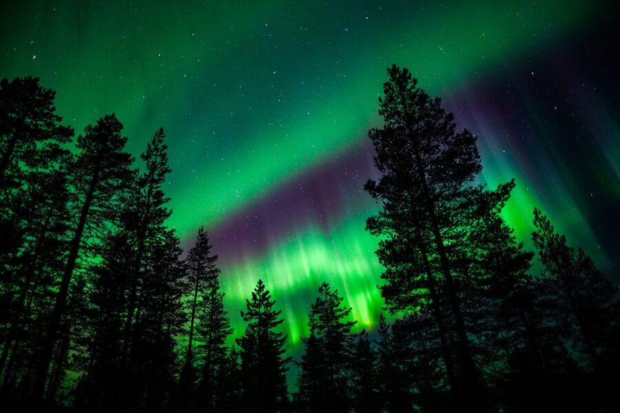 From Rovaniemi: Family-Friendly Northern Lights Tour - Key points to know before you book