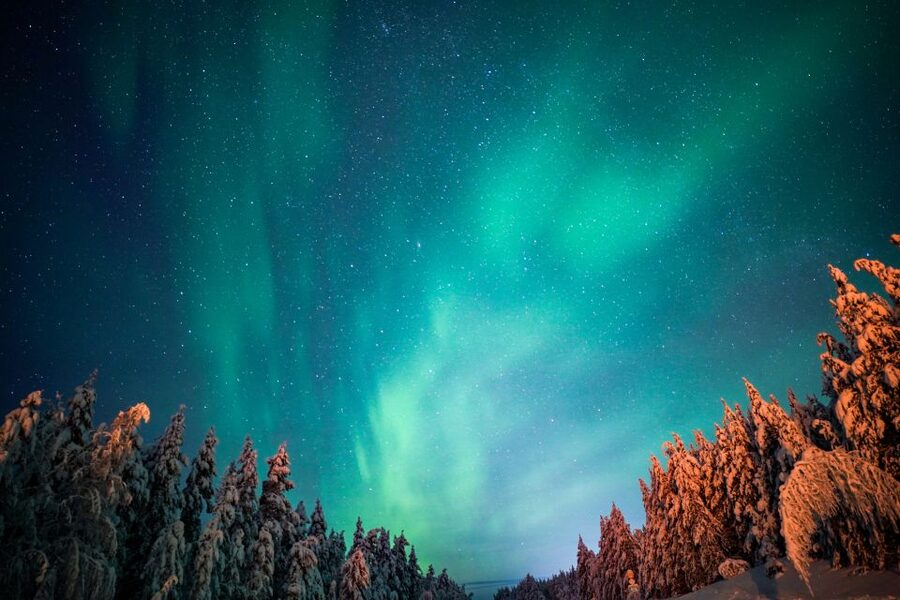 From Rovaniemi: Family-Friendly Northern Lights Tour - Leaving Rovaniemi for a darker sky