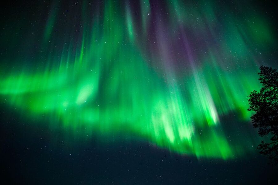 From Rovaniemi: Family-Friendly Northern Lights Tour - Guides who know how to work with families