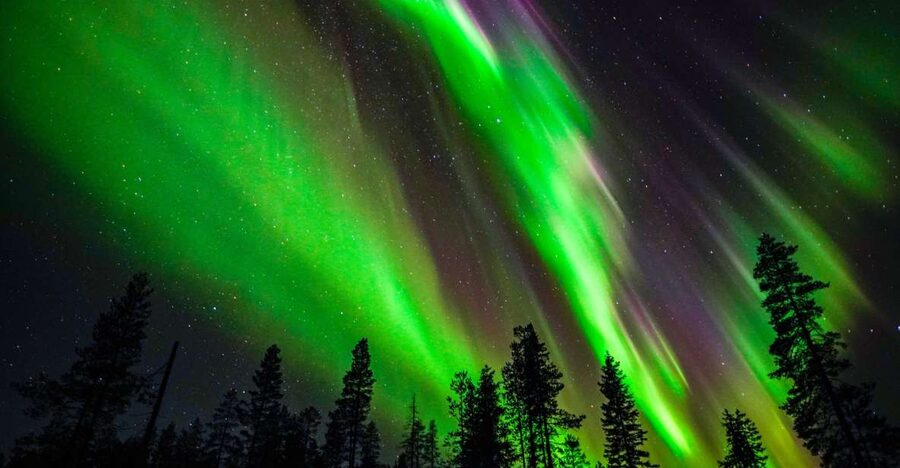 From Rovaniemi: Family-Friendly Northern Lights Tour - The biggest risk: expecting too much from the sky