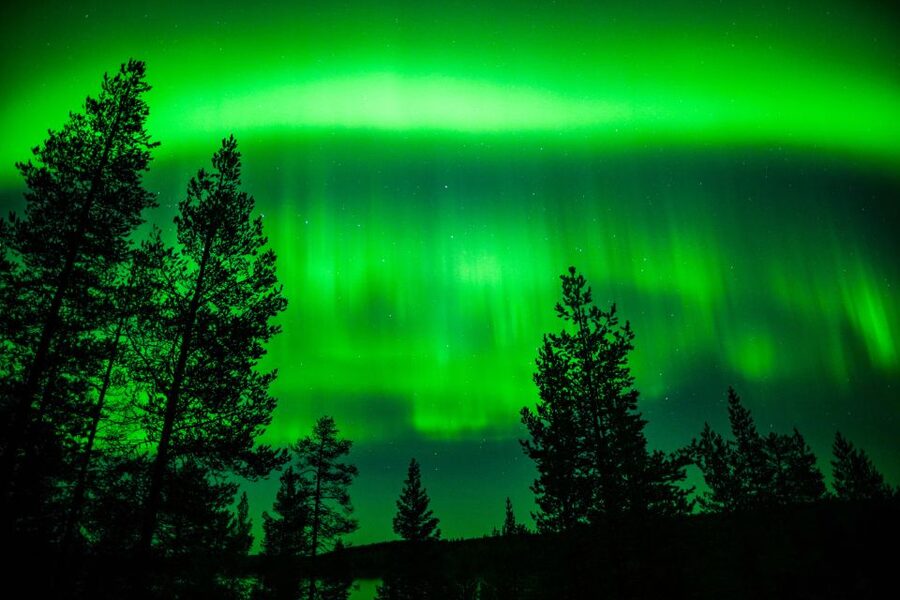 From Rovaniemi: Family-Friendly Northern Lights Tour - Should you book it?
