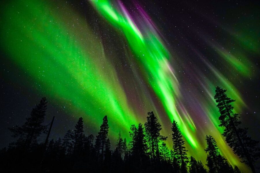 From Rovaniemi: Family-Friendly Northern Lights Tour - Snowy forests and a private viewing place