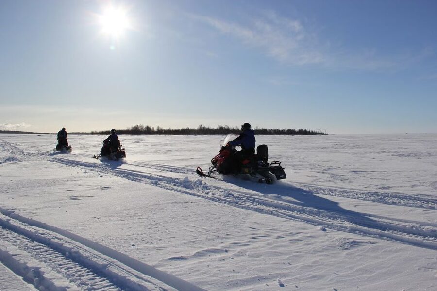 From Rovaniemi: Guided Lapland Snowmobile Adventure - Cold-weather comfort and practical limits