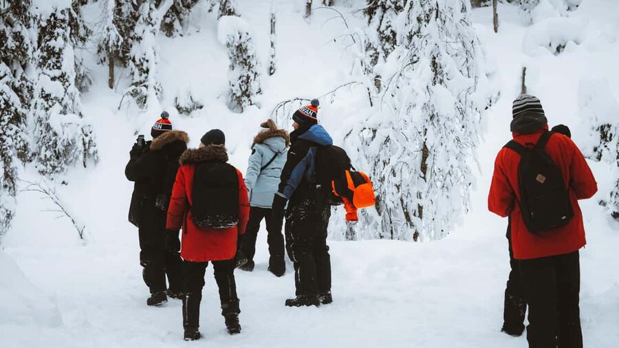 From Rovaniemi: Korouoma & Auttiköngäs Frozen Waterfalls - Who should book this outing?