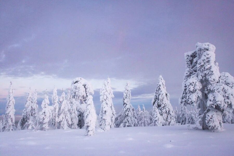 From Rovaniemi: Korouoma Canyon and Frozen Waterfalls Tour - Key points to know before you book