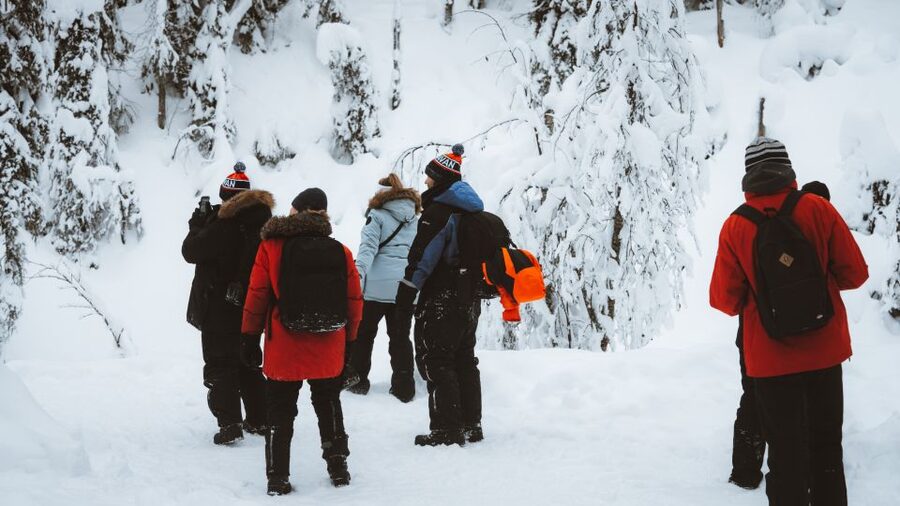 From Rovaniemi: Korouoma Canyon and Frozen Waterfalls Tour - Seeing the frozen waterfalls up close