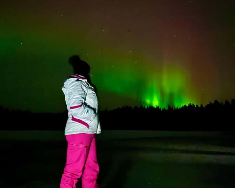 From Rovaniemi: Night Tour in Search of the Aurora with BBQ - Leaving Rovaniemi after dark
