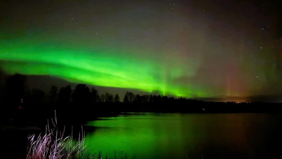 From Rovaniemi: Night Tour in Search of the Aurora with BBQ - Stop one: frozen forest and the evening BBQ
