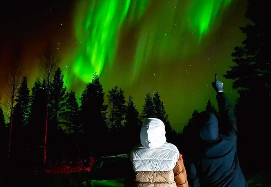 From Rovaniemi: Night Tour in Search of the Aurora with BBQ - Stop three: the secret location
