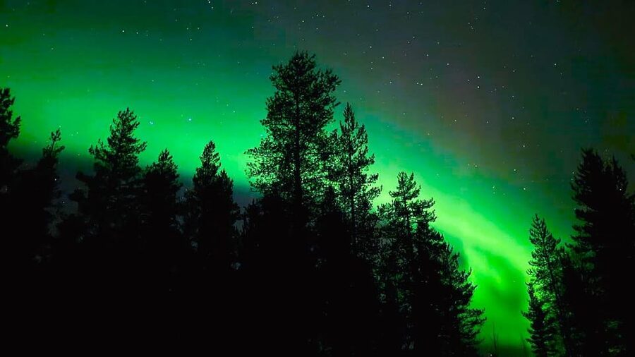From Rovaniemi: Night Tour in Search of the Aurora with BBQ - Who will enjoy this outing most?