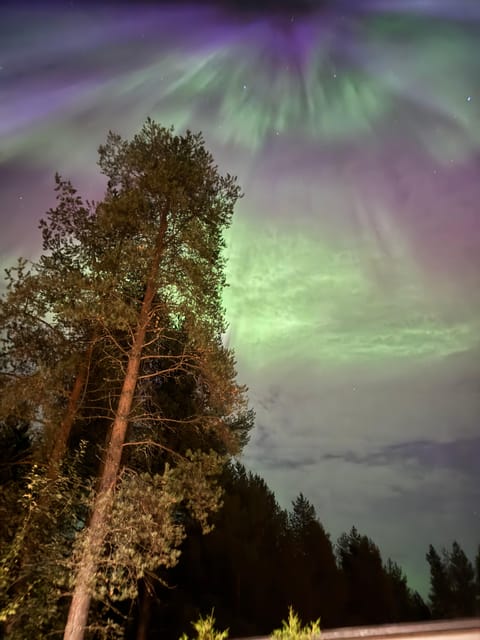 From Rovaniemi: Northern Lights Tour with Campfire Snacks - Key points to know before booking