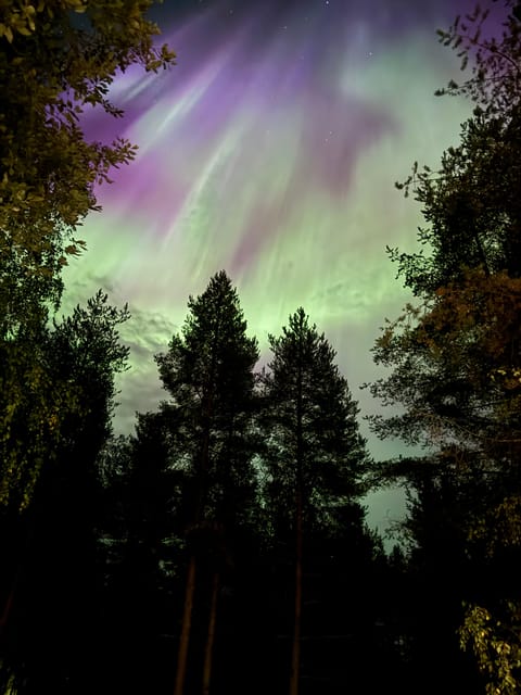 From Rovaniemi: Northern Lights Tour with Campfire Snacks - A campfire evening, not just an aurora chase
