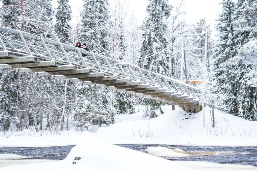 From Rovaniemi: Private Photoshoot in the Lappish Wilderness - The setting: snow, trees, and water