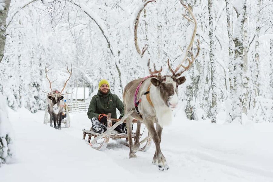 From Rovaniemi: Reindeer Farm Visit with Sleigh Ride - Meeting Lapland’s reindeer near Rovaniemi