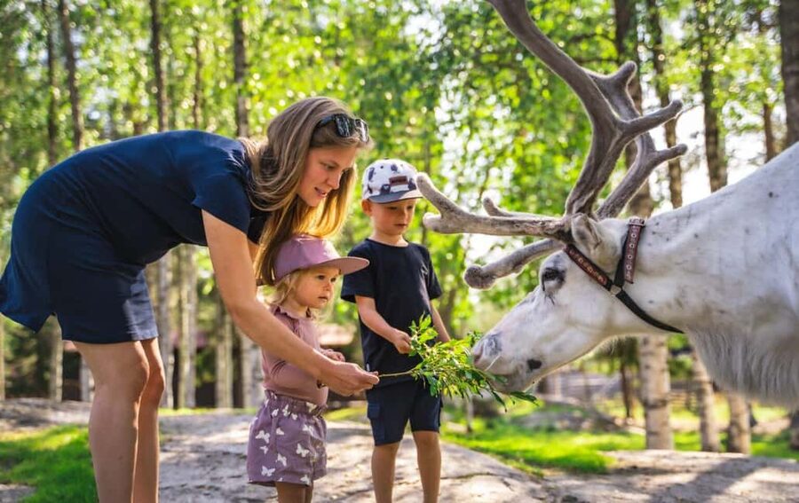 From Rovaniemi: Reindeer Farm Visit with Sleigh Ride - Who will enjoy this short Arctic experience?