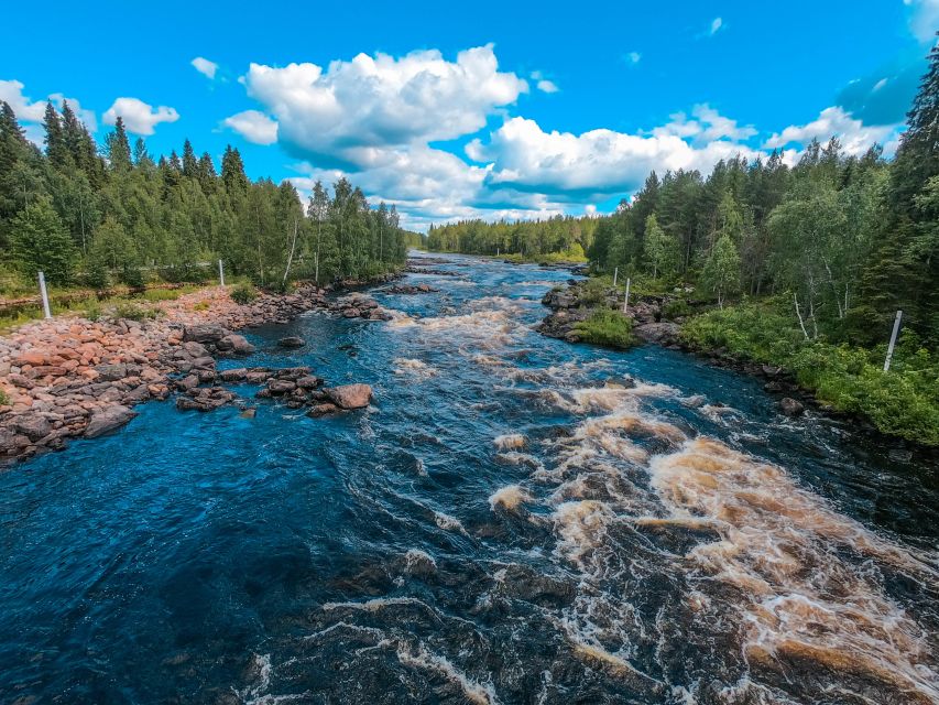 From Rovaniemi: Vikaköngäs Forest Hiking Tour - Key points at a glance
