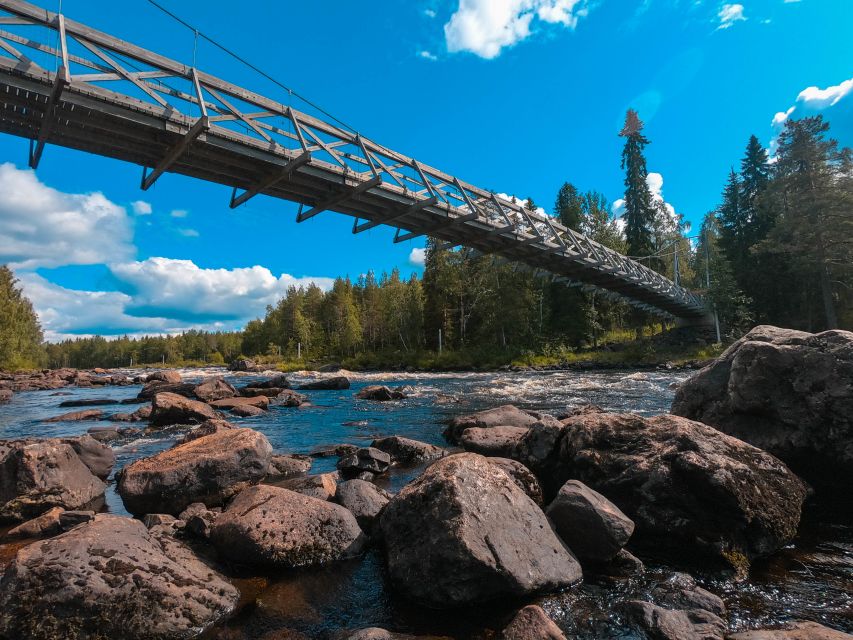 From Rovaniemi: Vikaköngäs Forest Hiking Tour - A 1 to 2 kilometer walk, with one important caveat