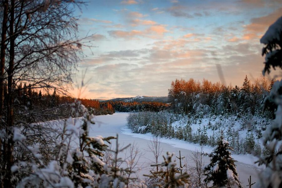 From Rovaniemi: Vikaköngäs Forest Hiking Tour - Forests, gorges, lakes, and rivers in one compact outing