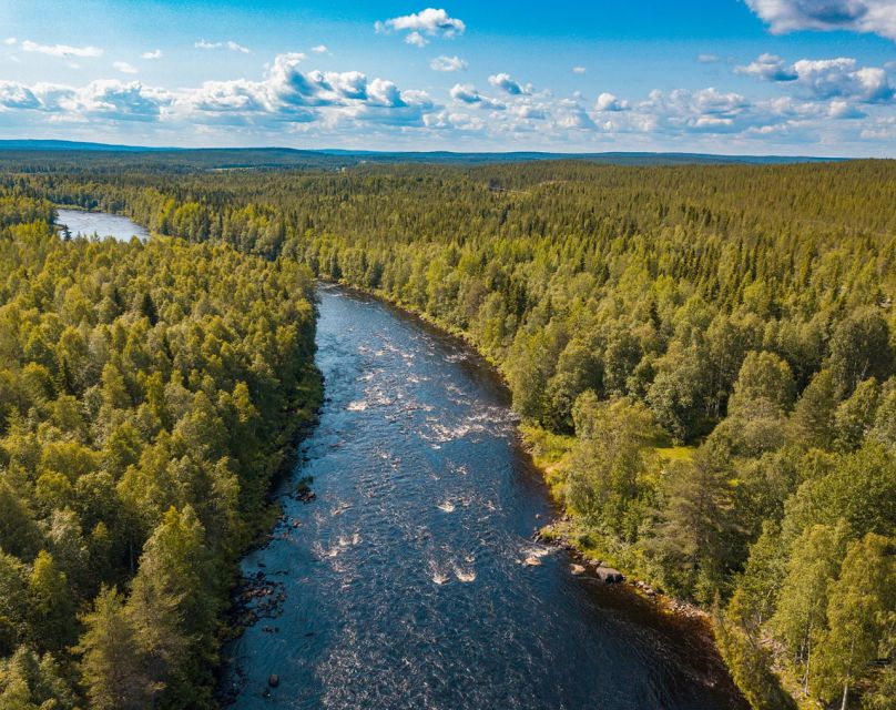 From Rovaniemi: Vikaköngäs Forest Hiking Tour - Is $123 a fair price?
