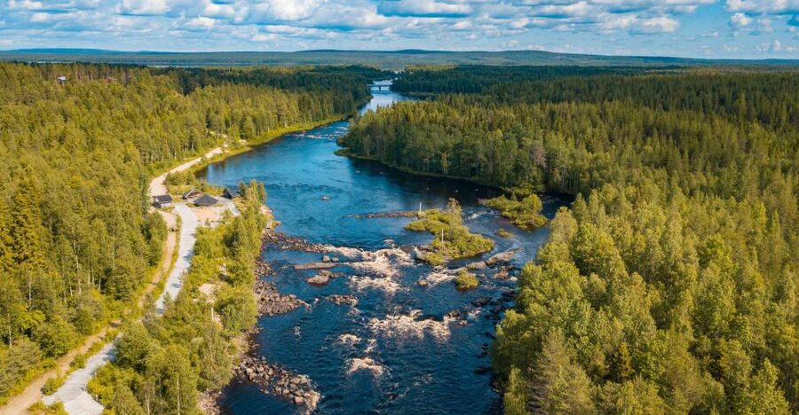 From Rovaniemi: Vikaköngäs Forest Hiking Tour - Leaving Rovaniemi with pickup included