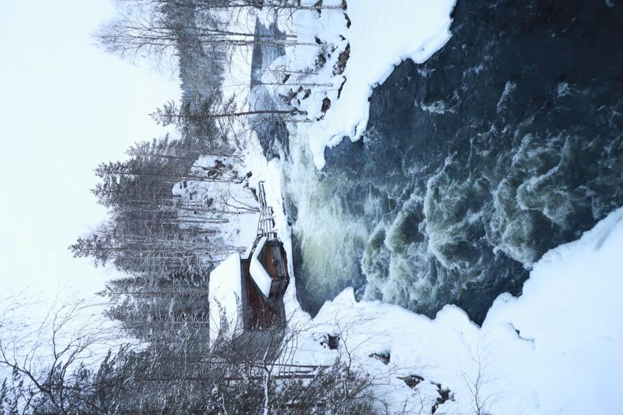 From Ruka: Snowshoeing in Oulanka National Park - Key points to know before booking