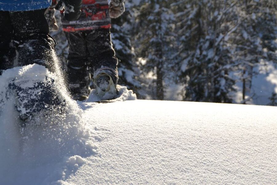 From Ruka: Snowshoeing in Oulanka National Park - Snowshoeing the Little Bear Trail