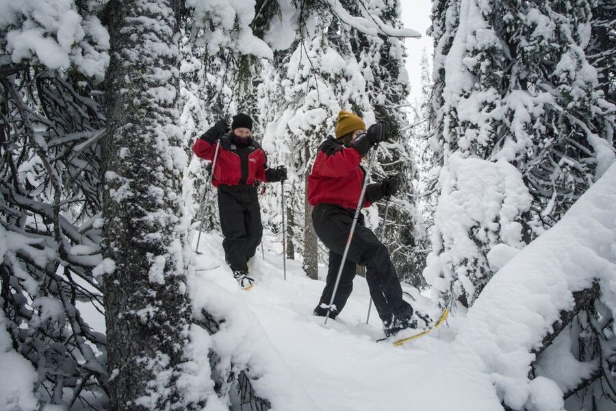 From Ruka: Snowshoeing in Oulanka National Park - From Ruka to Juuma village