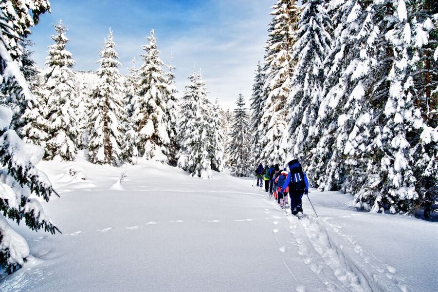 From Sirkka: Levi Summit Guided Nature Snowshoeing Tour - Key points to know before you book