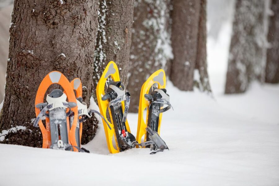 From Sirkka: Levi Summit Guided Nature Snowshoeing Tour - Snowshoes, overalls, and the first steps