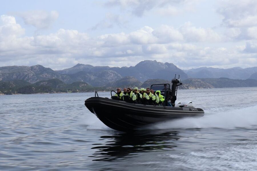 From Stavanger: RIB Tour to Lysefjord - Watching for seals, porpoises, goats, and sea eagles