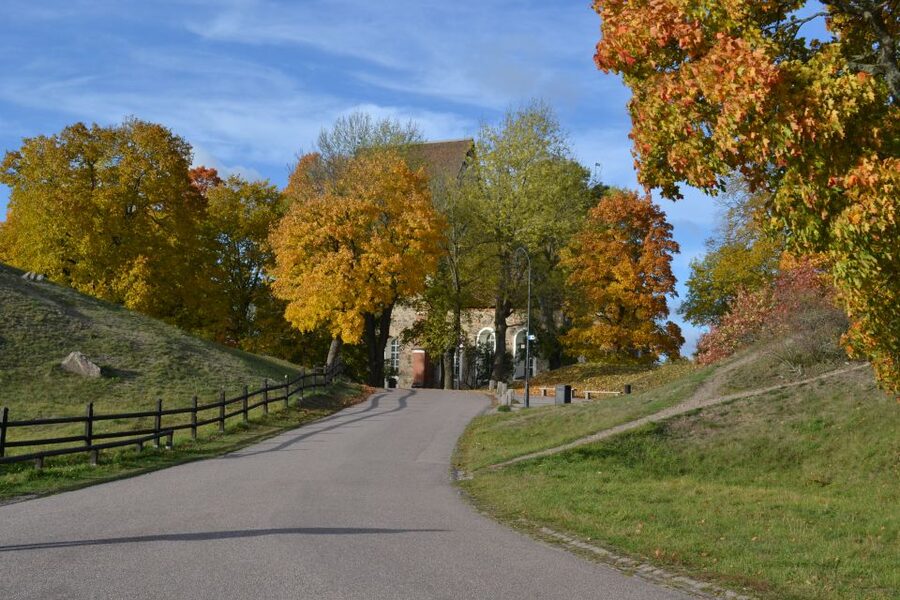 From Stockholm: Uppsala and Sigtuna Viking Sites Tour - Is $235 a fair price?