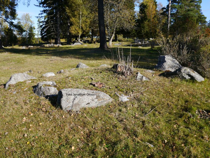 From Stockholm: Viking Culture and Heritage Small Group Tour - Practical Details Before You Reserve