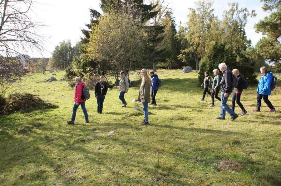 From Stockholm: Viking Culture Guided Tour with Transfer - Transport, timing, and pickup details