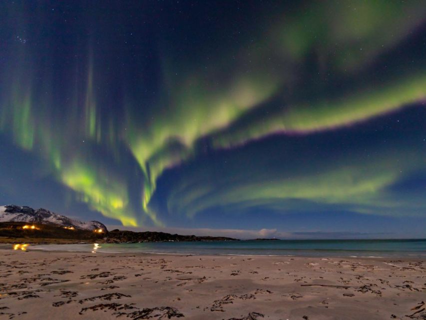 From Svolvær: Guided Northern Lights Tour by Van - What the four hours feel like