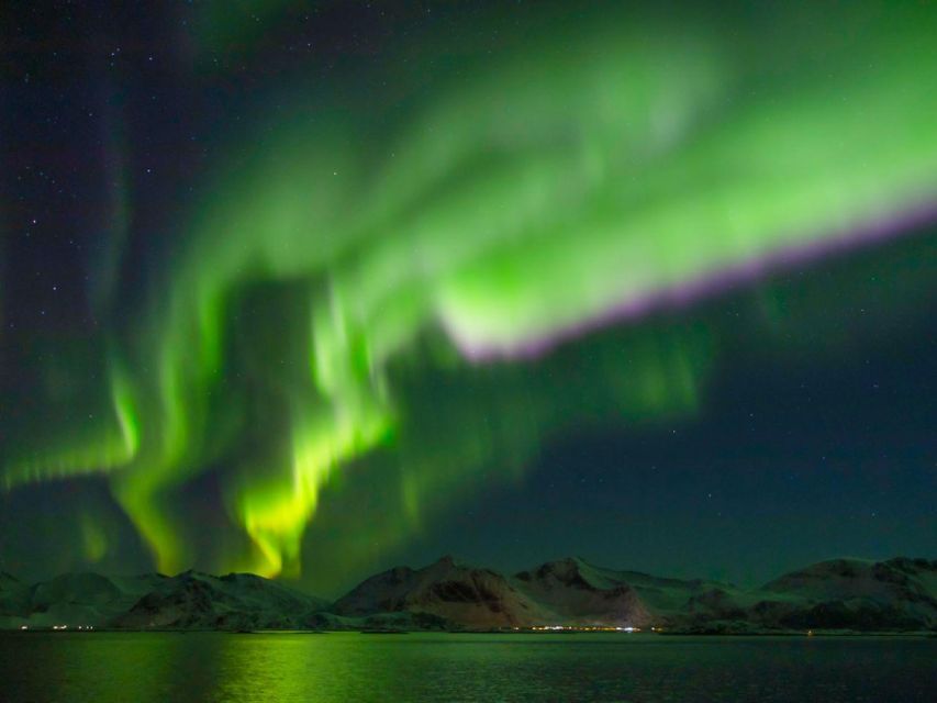 From Svolvær: Guided Northern Lights Tour by Van - Photography under the aurora