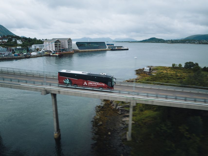 From Svolvær: Hurtigruten Cruise into Trollfjord - Boarding Hurtigruten or Havila Voyages