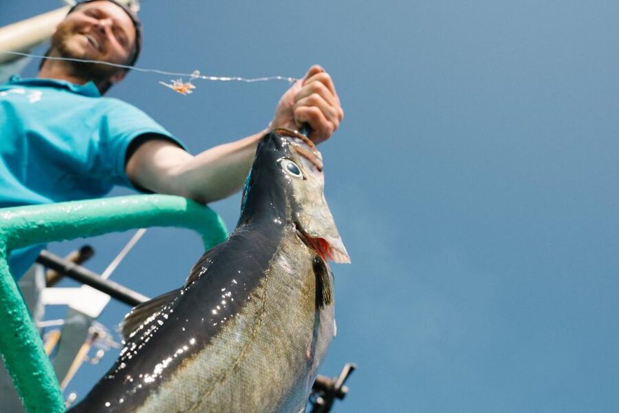 From Svolvaer: Lofoten Fishing Boat Cruise - Why this is more than a standard boat ride