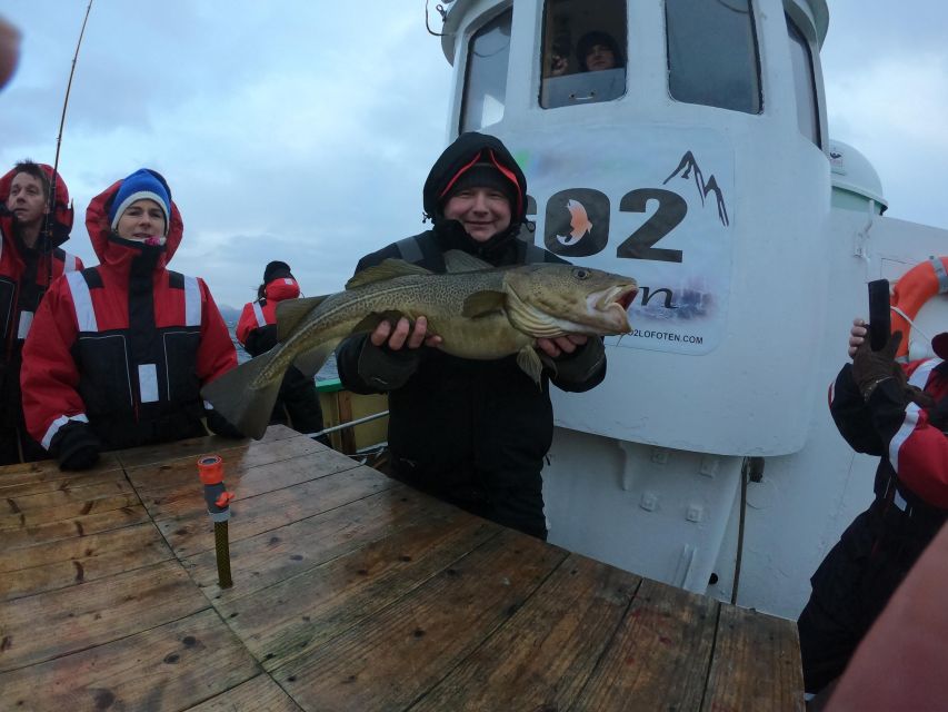 From Svolvaer: Lofoten Fishing Boat Cruise - Who should book this Svolvær fishing cruise?