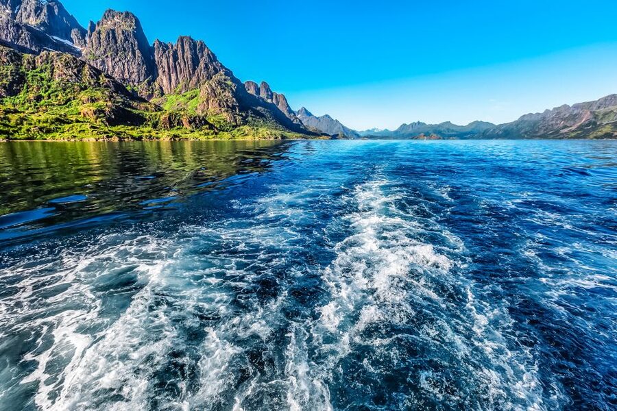 From Svolvær: Lofoten Islands Silent Trollfjord Cruise - The underwater drone and what it adds